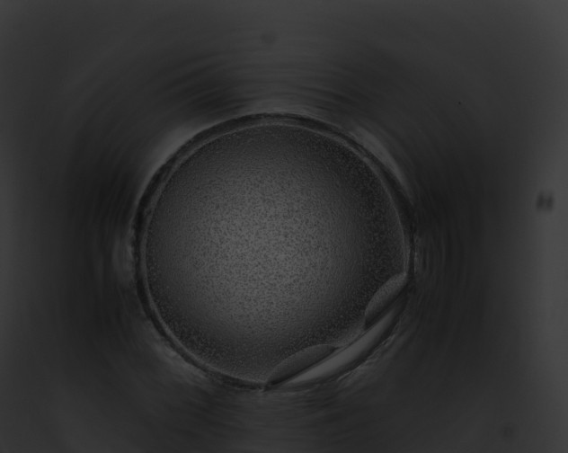 X0000093101068200710031454
