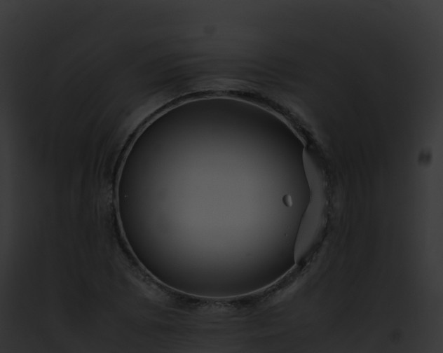 X0000093101073200710031454