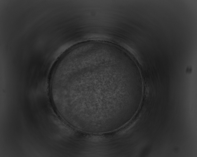 X0000093101074200710031454