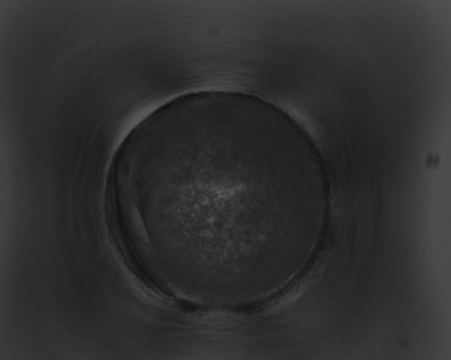 X0000093101077200710031454