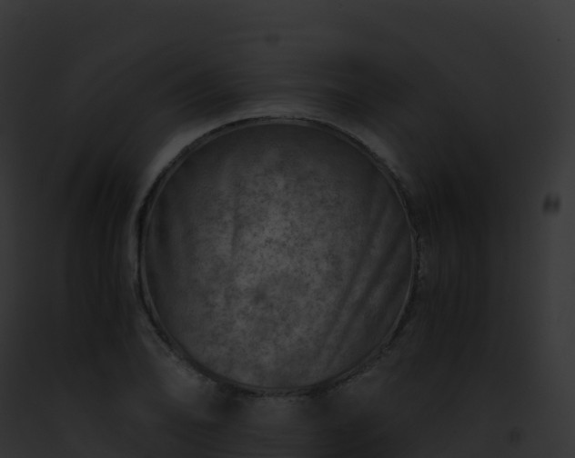 X0000093101078200710031454