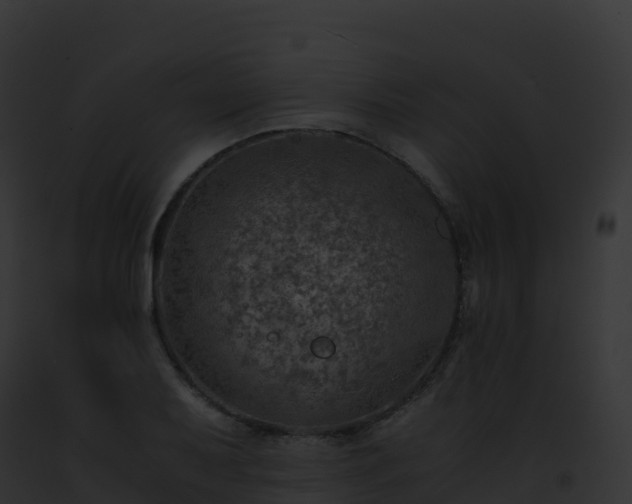 X0000093101079200710031454