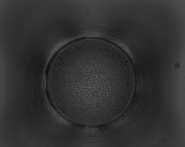 X0000093101080200710031454