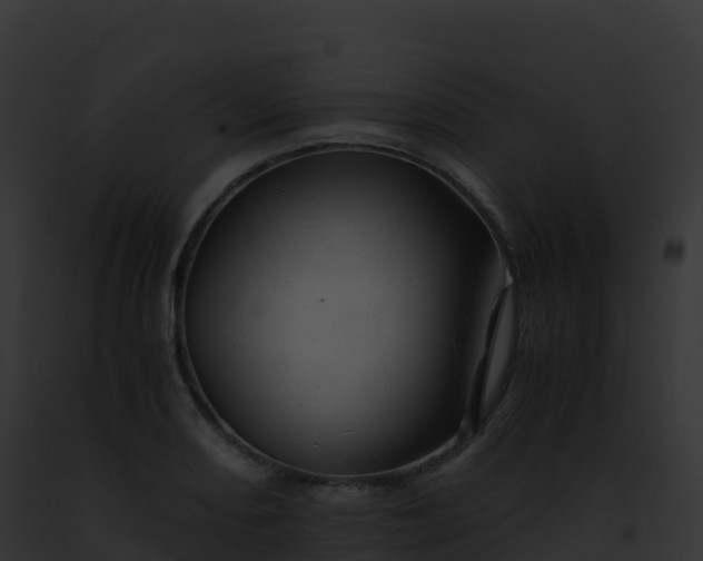 X0000093101082200710031454