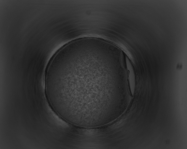 X0000093101084200710031454