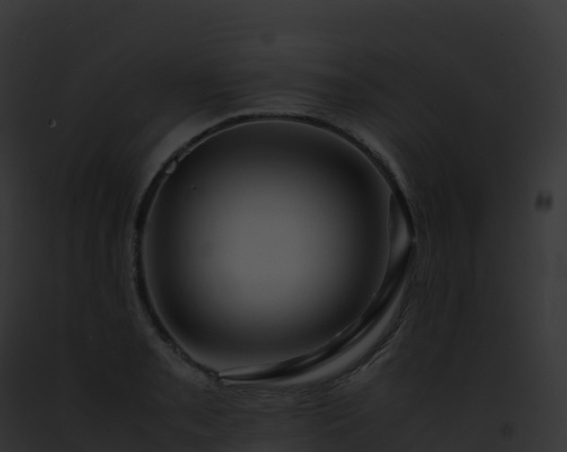 X0000093101085200710031454
