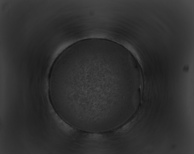 X0000093101088200710031454