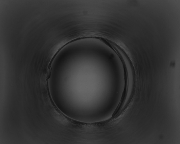 X0000093101089200710031454