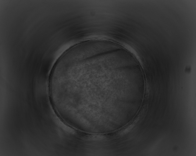 X0000093101090200710031454