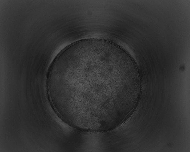 X0000093101091200710031454