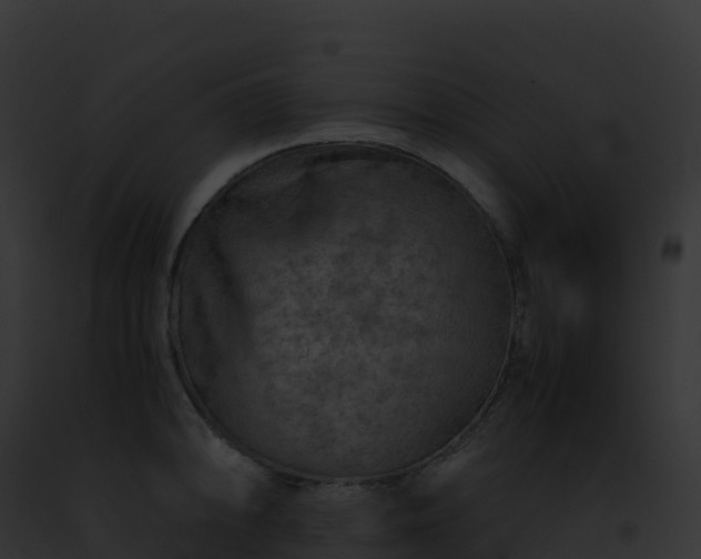 X0000093101094200710031454