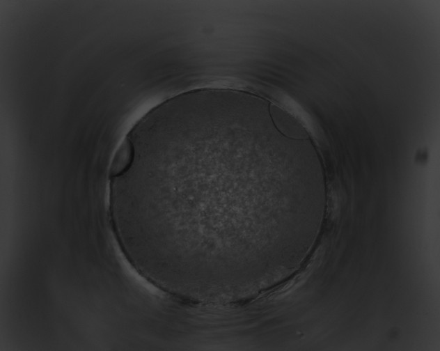 X0000093101095200710031454