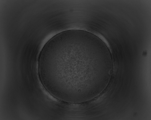 X0000093101096200710031454