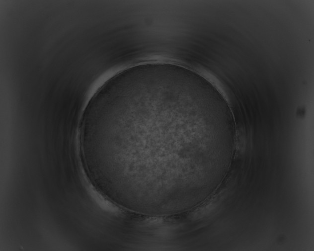 X0000093101098200710031454