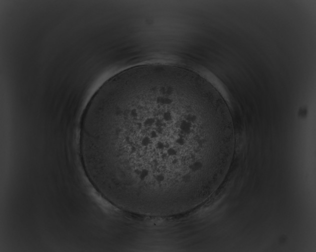 X0000093101099200710031454