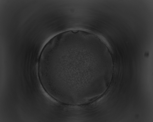 X0000093101100200710031454