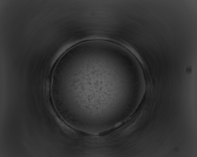 X0000093101101200710031453