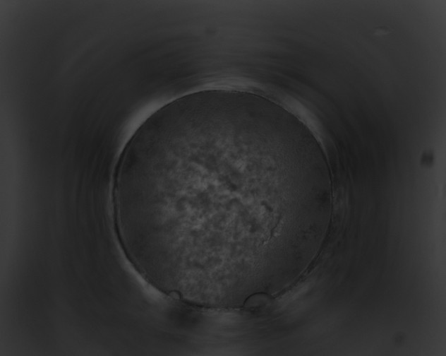 X0000093101103200710031453