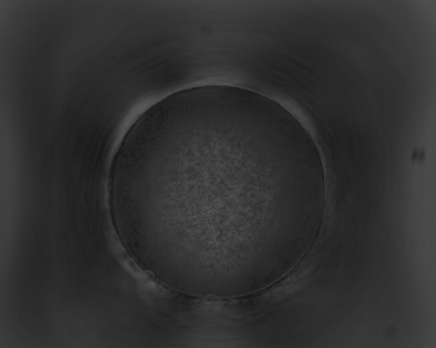 X0000093101104200710031453