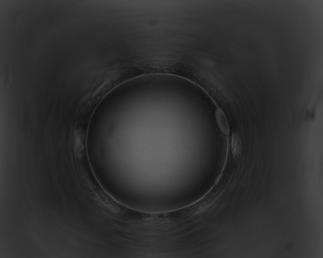 X0000093101107200710031453