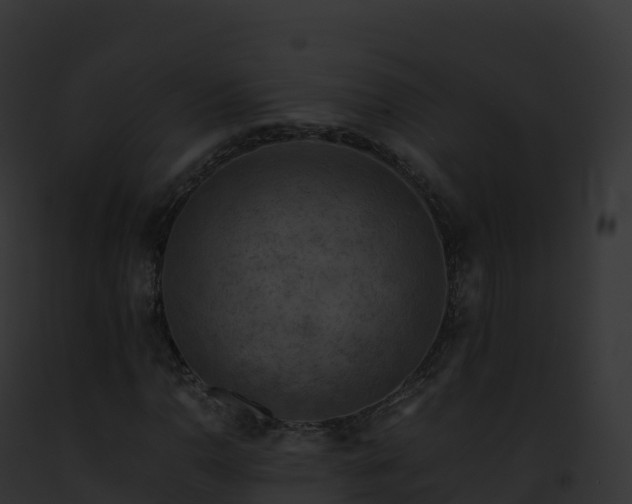 X0000093101110200710031453