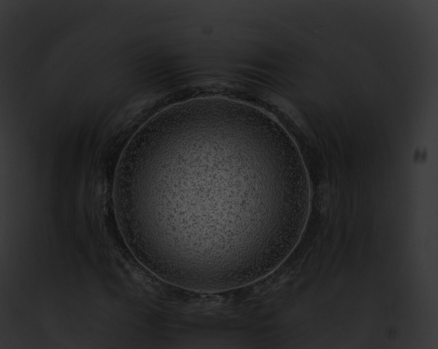 X0000093101111200710031453