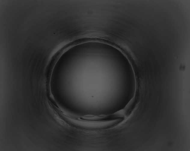 X0000093101114200710031453