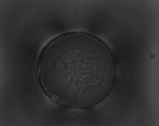 X0000093101117200710031453