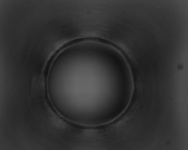 X0000093101118200710031453