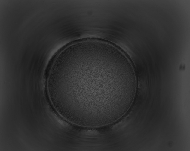 X0000093101119200710031453