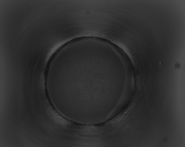 X0000093101120200710031453