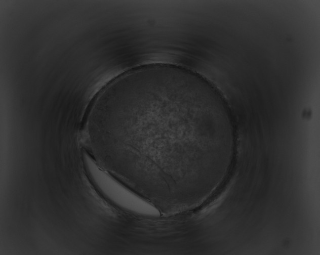 X0000093101121200710031453