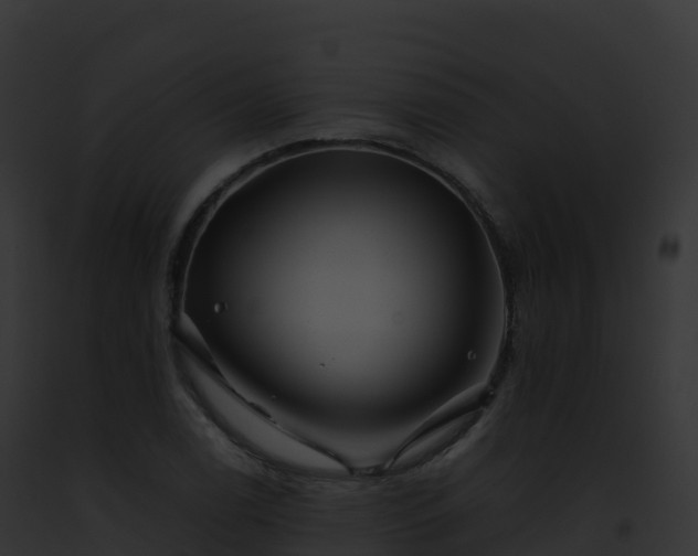 X0000093101122200710031453