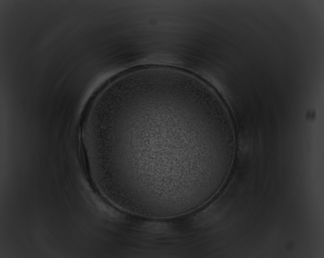 X0000093101123200710031453
