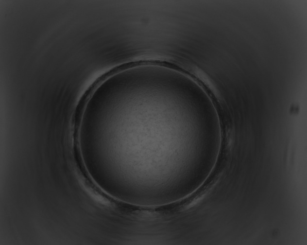 X0000093101124200710031453