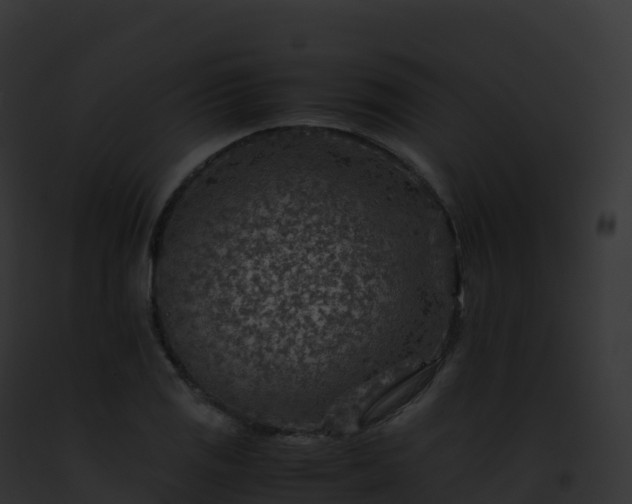 X0000093101125200710031453