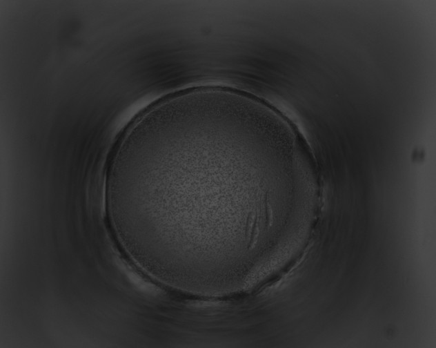 X0000093101127200710031453