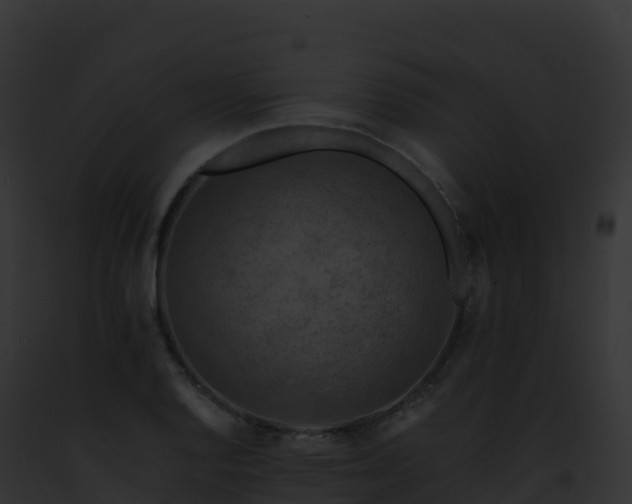 X0000093101128200710031453