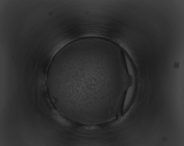 X0000093101129200710031453