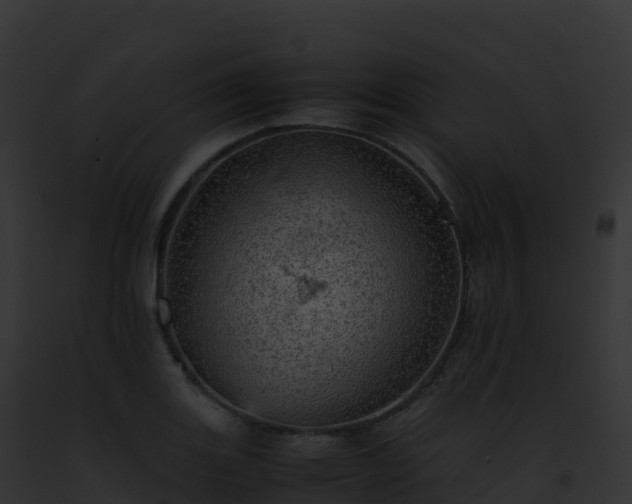 X0000093101131200710031453