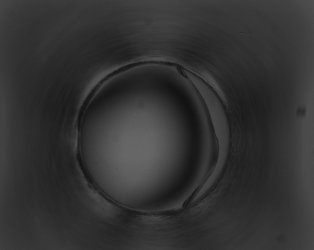 X0000093101132200710031453