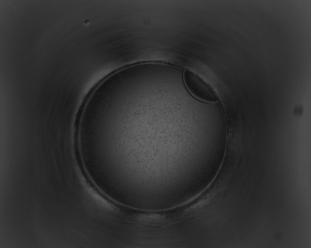 X0000093101135200710031453