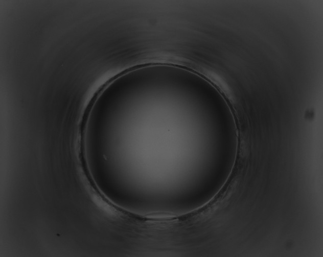 X0000093101136200710031453