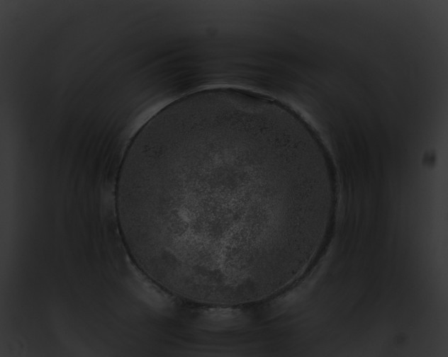 X0000093101137200710031453