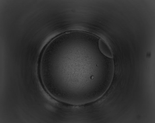 X0000093101139200710031453