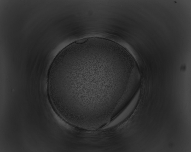 X0000093101143200710031453