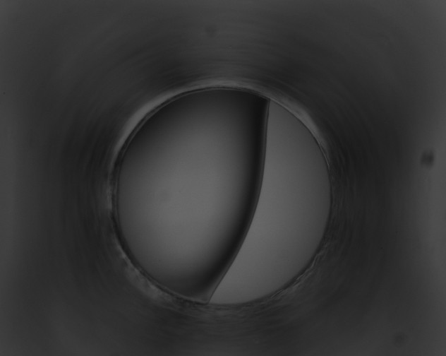 X0000093101148200710031453