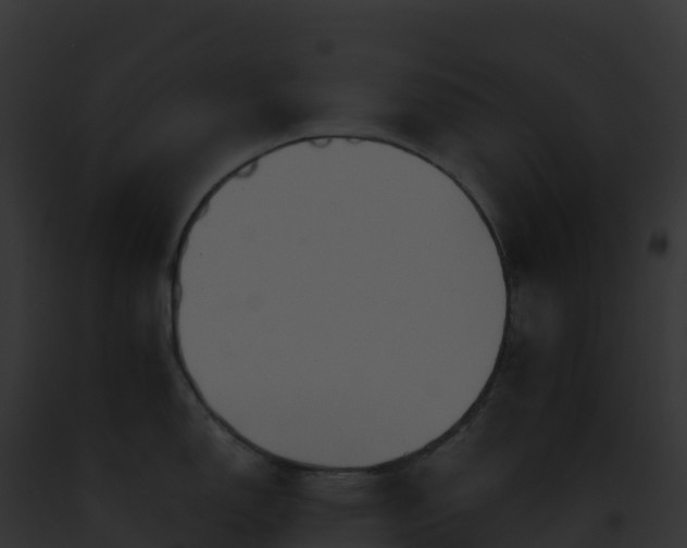 X0000093101150200710031453