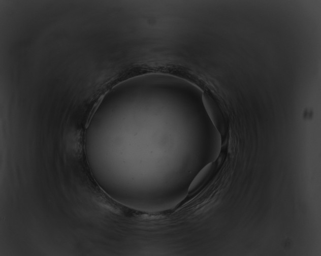 X0000093101156200710031453