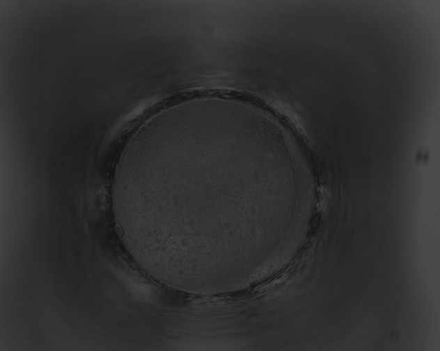X0000093101159200710031453